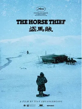 盗马贼