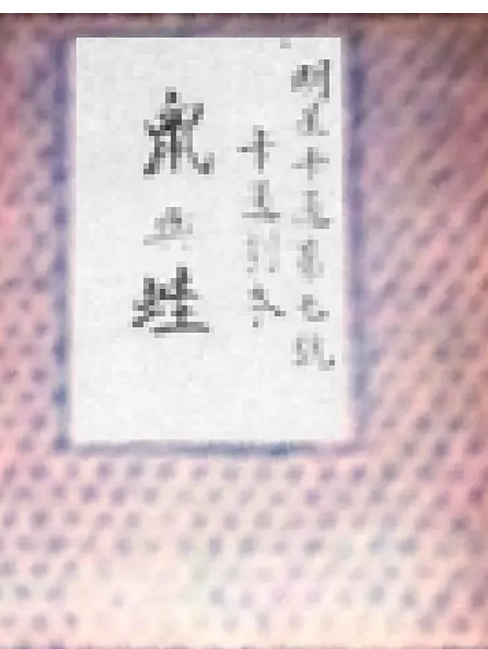 《鼠与蛙》/《飞来祸》